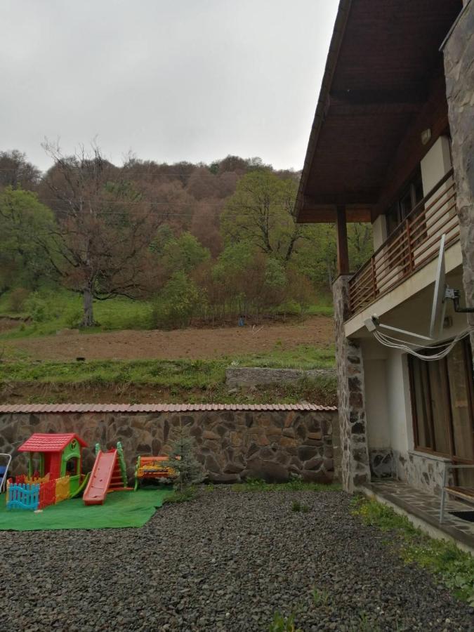 Konstantine'S Chalet Бакуріані Екстер'єр фото