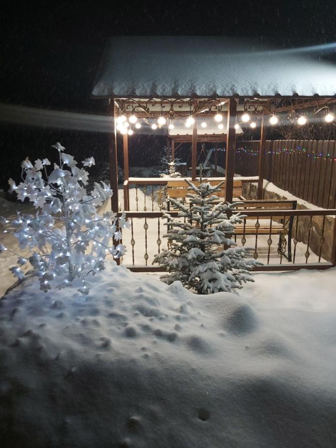 Konstantine'S Chalet Бакуріані Екстер'єр фото
