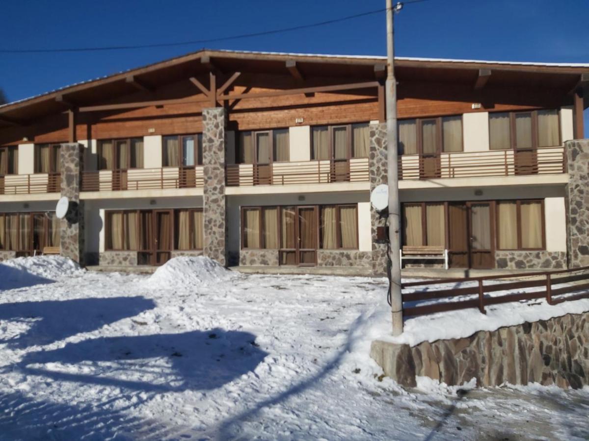 Konstantine'S Chalet Бакуріані Екстер'єр фото