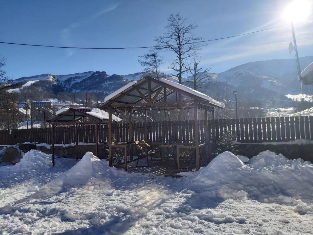 Konstantine'S Chalet Бакуріані Екстер'єр фото