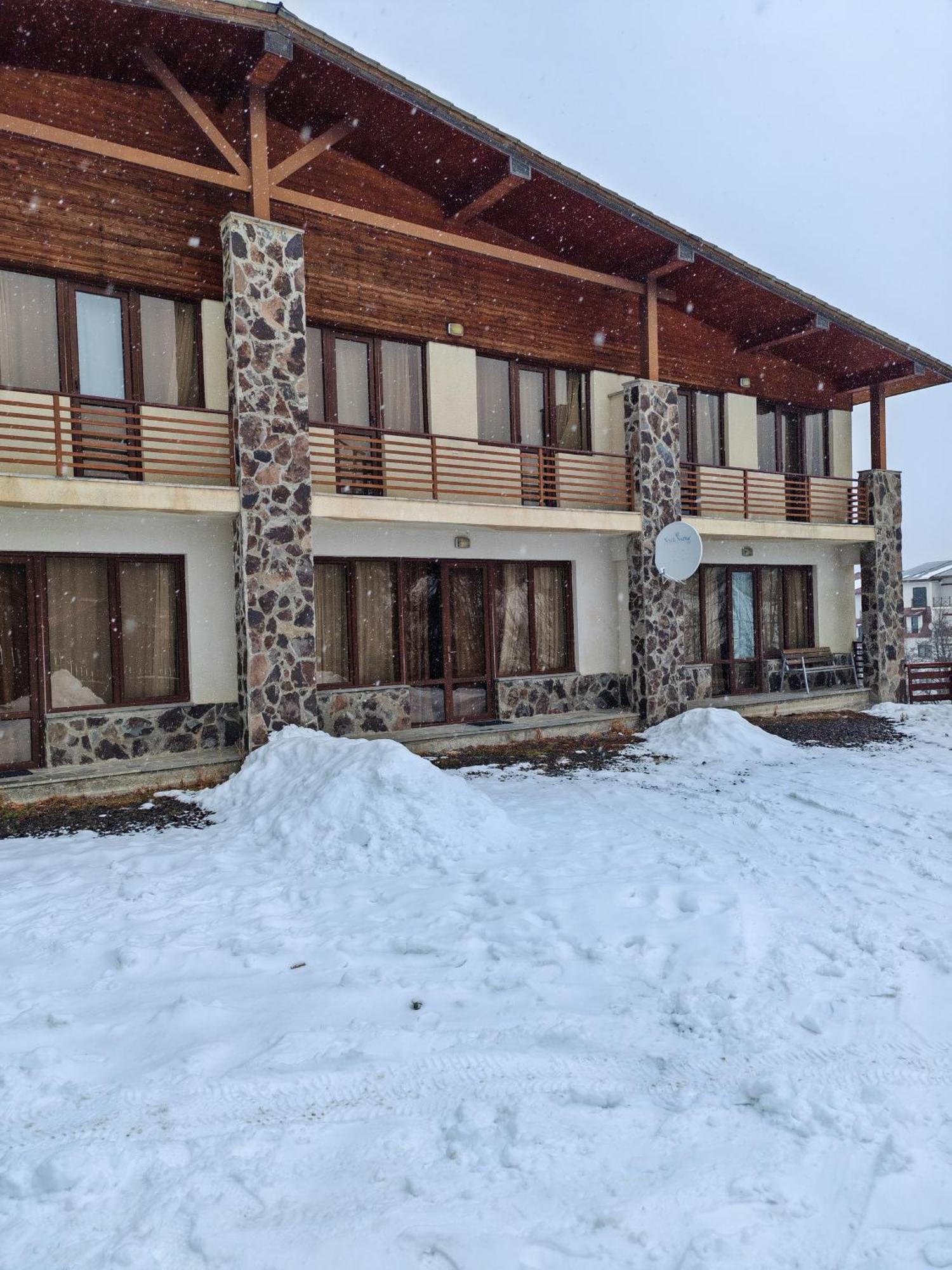 Konstantine'S Chalet Бакуріані Екстер'єр фото