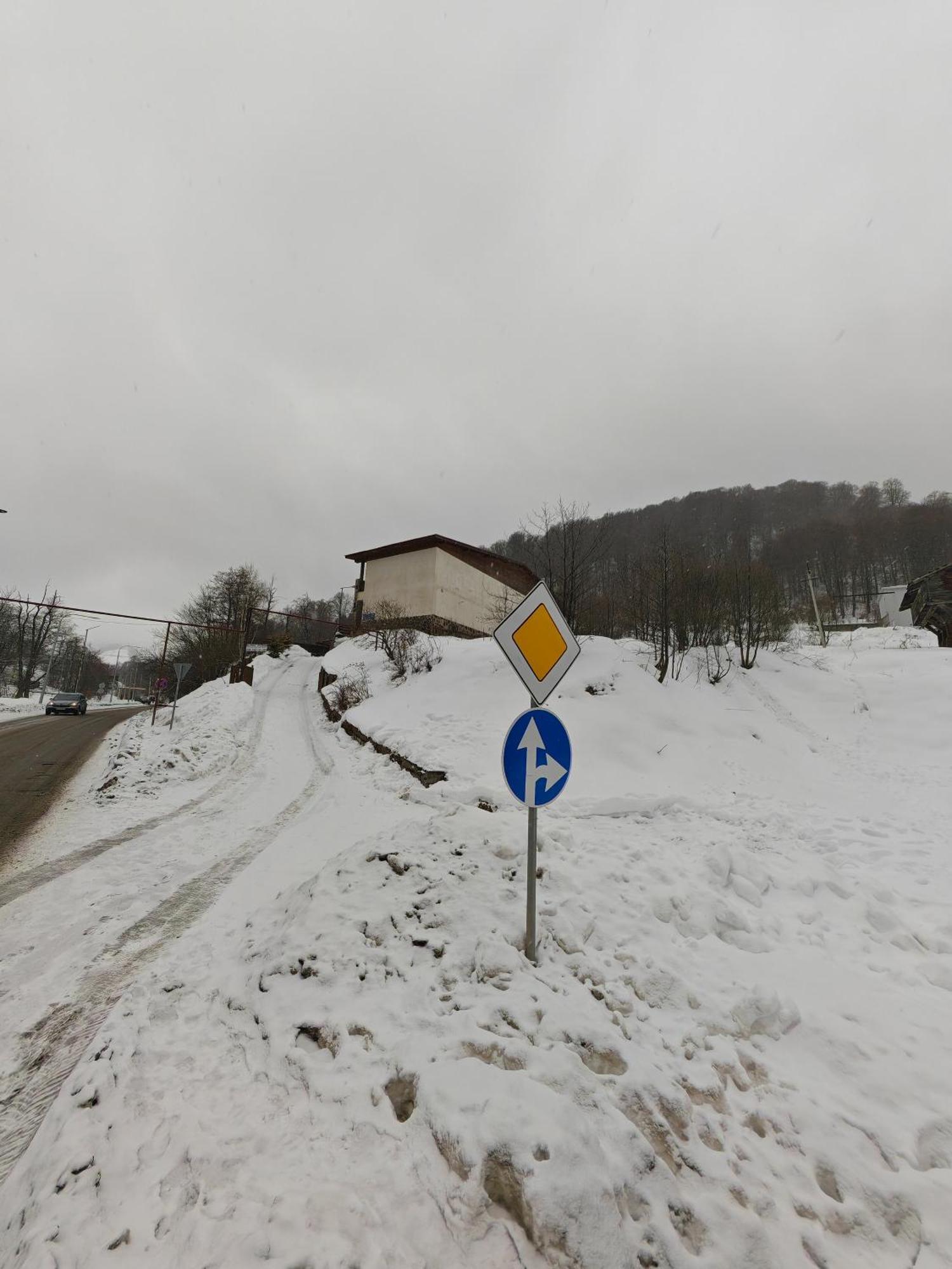 Konstantine'S Chalet Бакуріані Екстер'єр фото