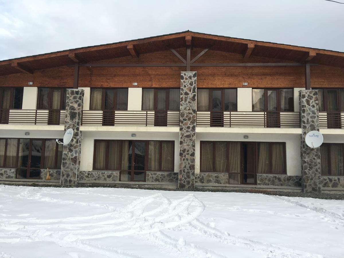 Konstantine'S Chalet Бакуріані Екстер'єр фото