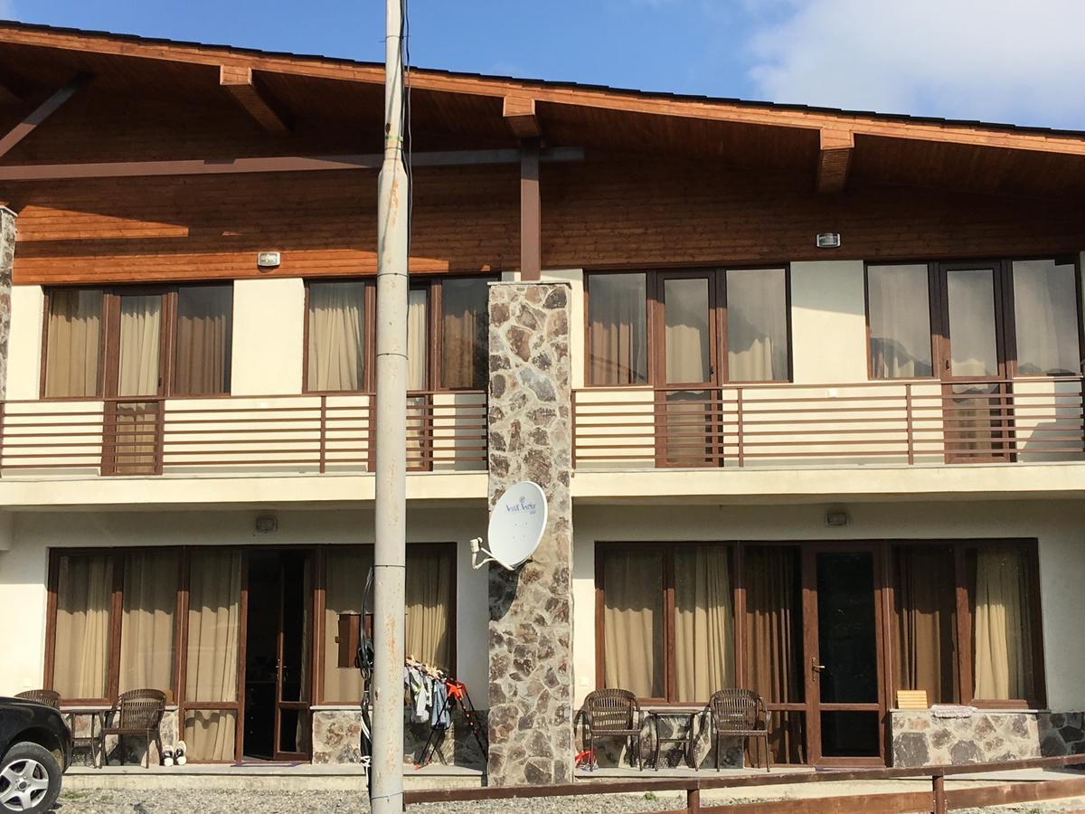 Konstantine'S Chalet Бакуріані Екстер'єр фото