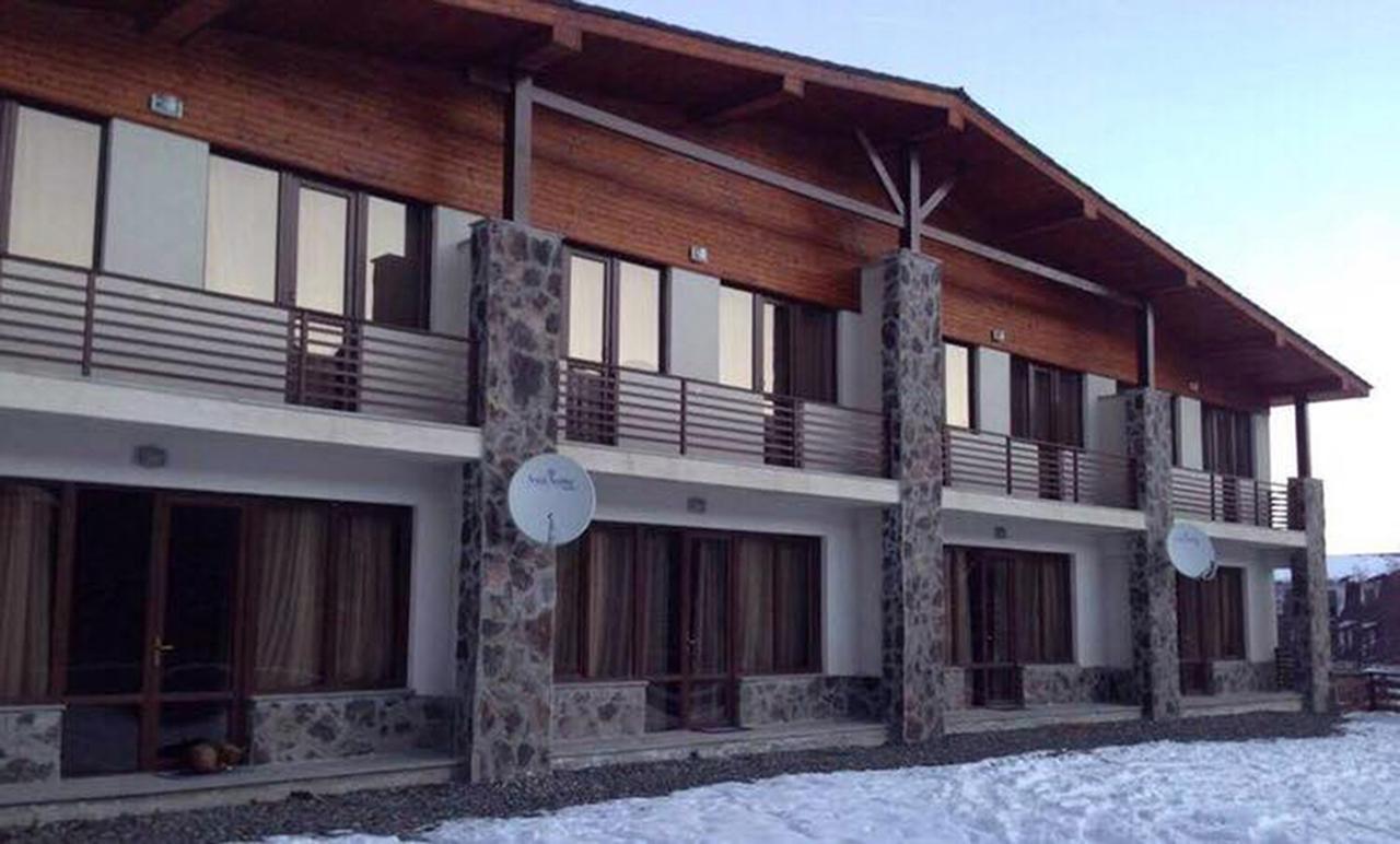 Konstantine'S Chalet Бакуріані Екстер'єр фото